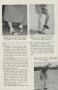 Page: - 13 | Golf Digest