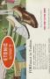 Page: - 53 | Golf Digest