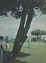Page: - 67 | Golf Digest