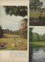Page: - 36 | Golf Digest