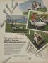 Page: - 71 | Golf Digest