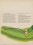 Page: - 30 | Golf Digest