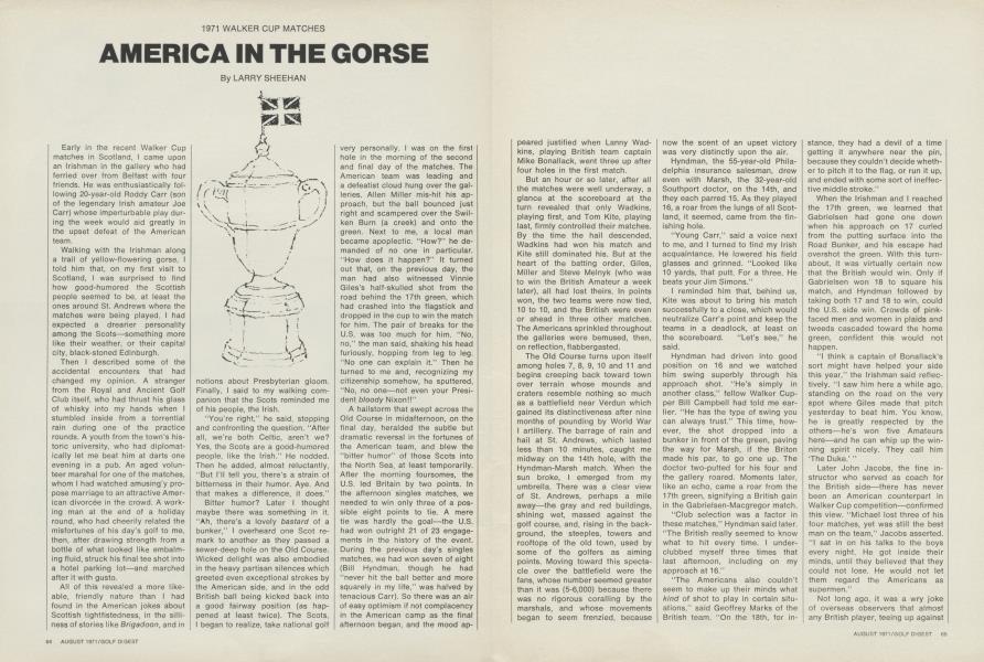 America in the gorse