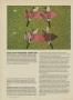 Page: - 56 | Golf Digest