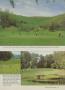 Page: - 209 | Golf Digest
