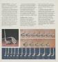 Page: - 65 | Golf Digest