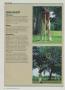 Page: - 40 | Golf Digest
