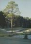Page: - 54 | Golf Digest