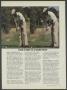 Page: - 43 | Golf Digest