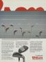 Page: - 131 | Golf Digest