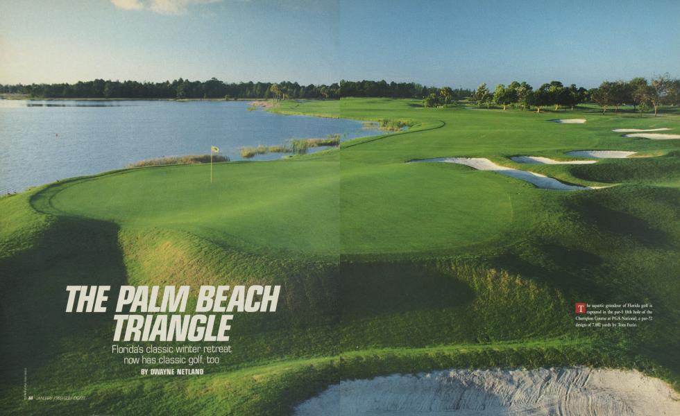 THE PALM BEACH TRIANGLE
