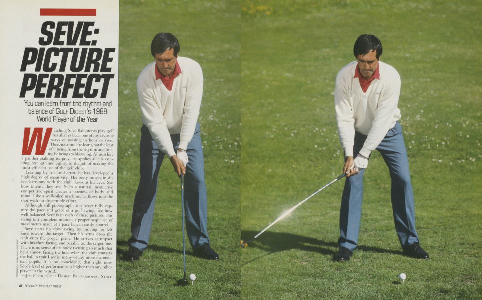 SEVE: PICTURE PERFECT