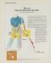 Page: - 74 | Golf Digest