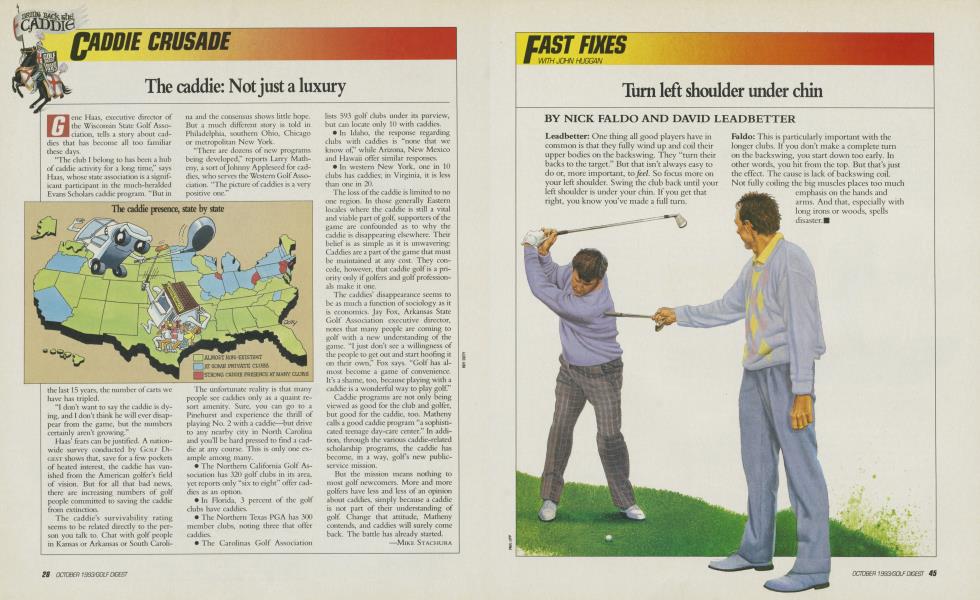 The caddie: Not just a luxury