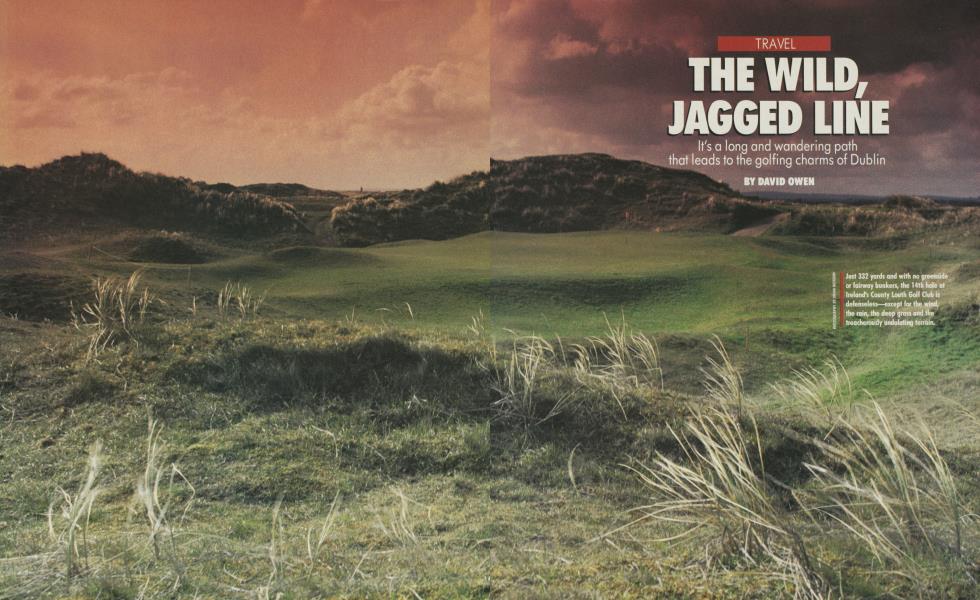 THE WILD,JAGGED LINE