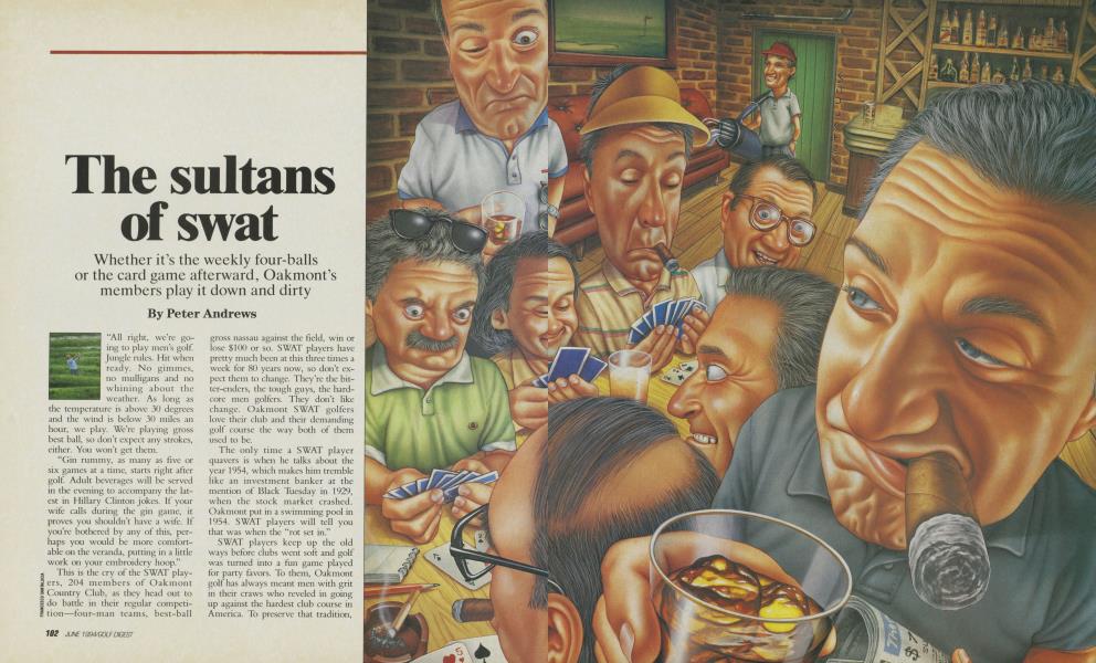 The sultans of swat