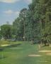 Page: - 91 | Golf Digest