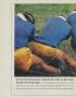 Page: - 240 | Golf Digest