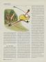 Page: - 120 | Golf Digest