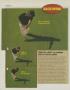 Page: - 56 | Golf Digest
