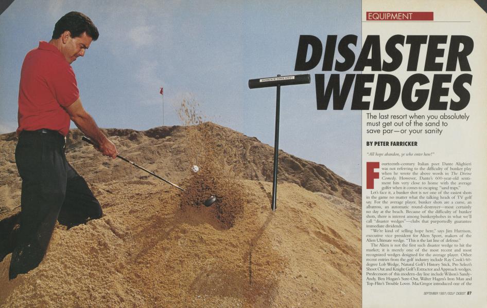 DISASTER WEDGES
