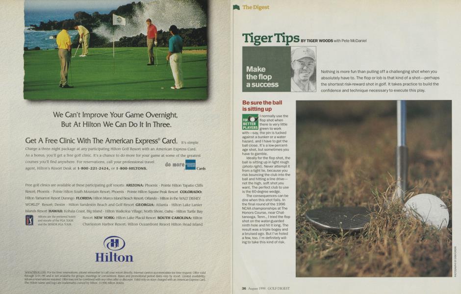 Tiger Tips