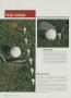 Page: - 142 | Golf Digest