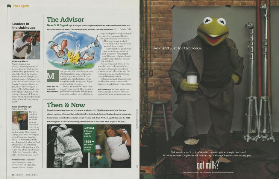The Advisor