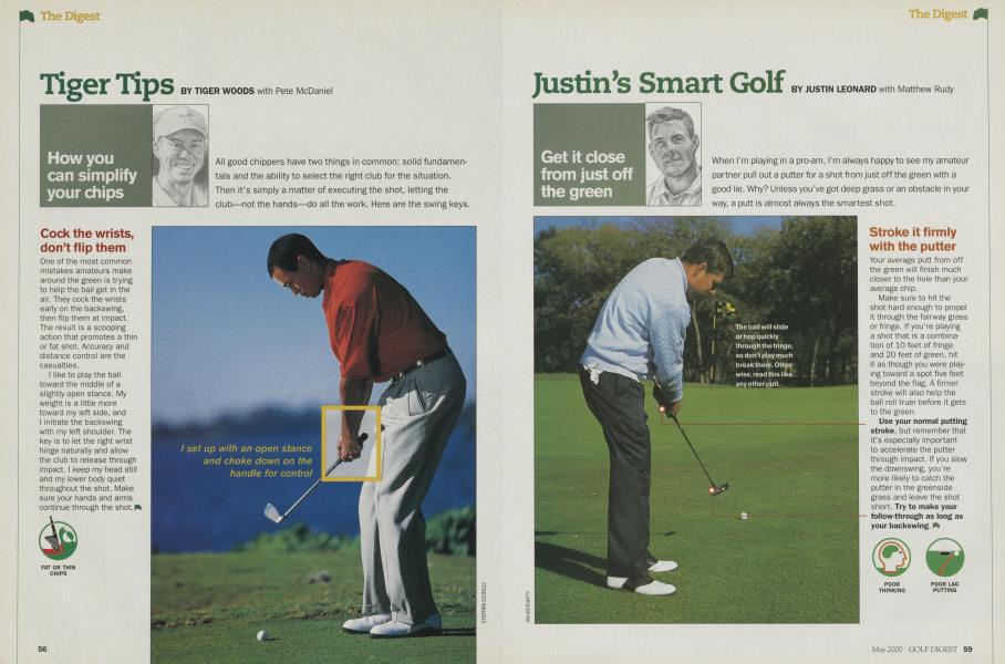 Tiger Tips