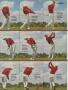 Page: - 104 | Golf Digest