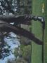 Page: - 0_3 | Golf Digest