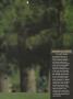 Page: - 173 | Golf Digest
