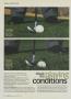 Page: - 96 | Golf Digest