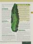 Page: - 169 | Golf Digest