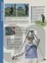 Page: - 250 | Golf Digest
