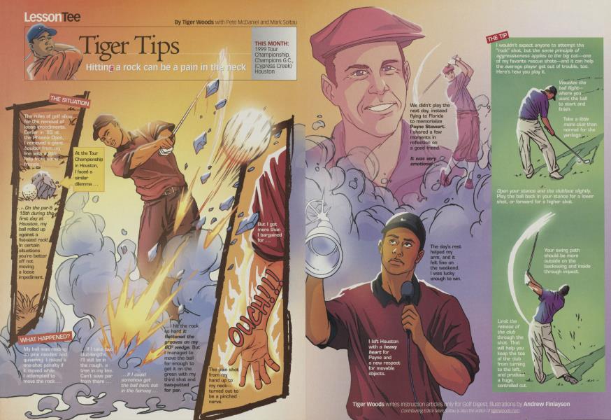Tiger Tips