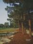 Page: - 221 | Golf Digest