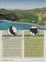 Page: - 242 | Golf Digest