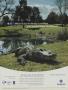 Page: - 115d | Golf Digest