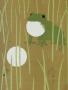 Page: - 203 | Golf Digest