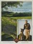 Page: - 148D | Golf Digest