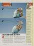 Page: - 42 | Golf Digest