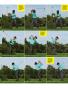 Page: - 17 | Golf Digest