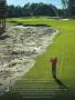 Page: - 42 | Golf Digest