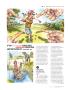 Page: - 99 | Golf Digest