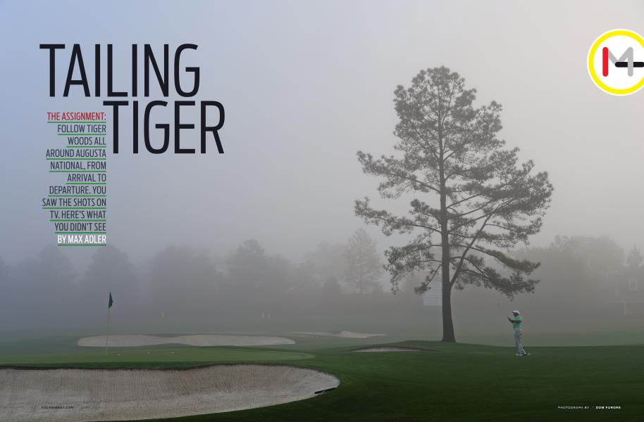 TAILING TIGER