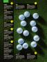 Page: - 74 | Golf Digest