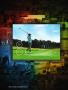 Page: - 4 | Golf Digest