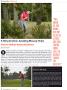 Page: - 32 | Golf Digest