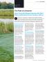 Page: - 41 | Golf Digest